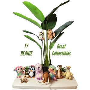 TY BEANIE BUNDLE OF 10